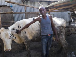 Tanzanian youth: There may be money in agriculture, but there is no dignity [ARCHIVE]