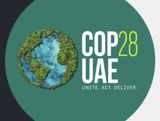 Nature’s Pitch and Shujaaz: the power of storytelling for climate action at COP28